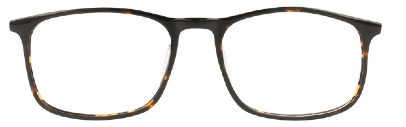 Randy Jackson RJ3063 Eyeglasses - view 5